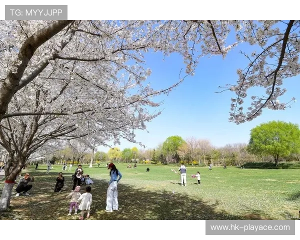 45万人赴樱花盛会 江城奔跑经济学引领春日旅游新潮流 45万人赴樱花盛会 江城奔跑经济学引领春日旅游新潮流