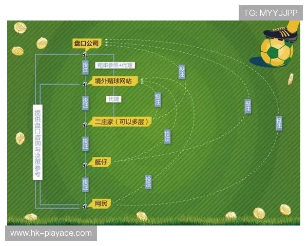 年度视角解读世界杯黑马崛起路径与盘口走势深度解析核心规律洞察