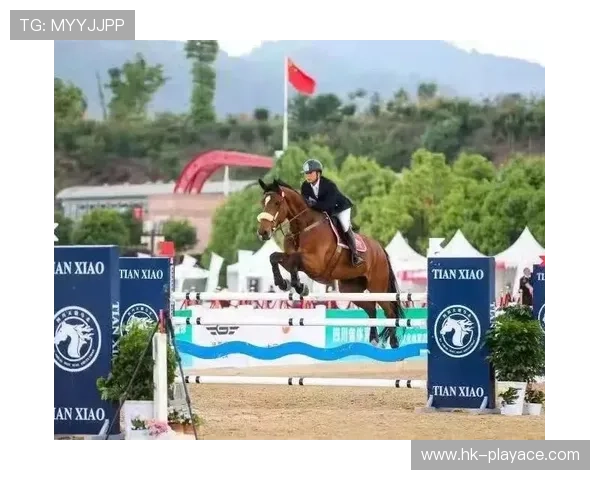 TOK体育全景解析:赛事动态与运动健身全面指南 TOK体育全景解析:赛事动态与运动健身全面指南